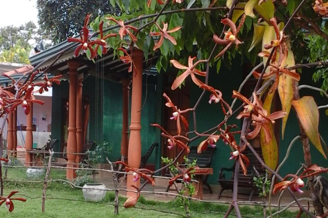 Sigiriya Melrose Villas Exteriör bild